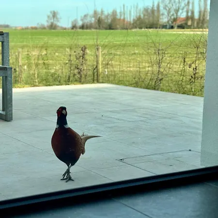 Holiday home Tyne View Hideaway Zonnebeke